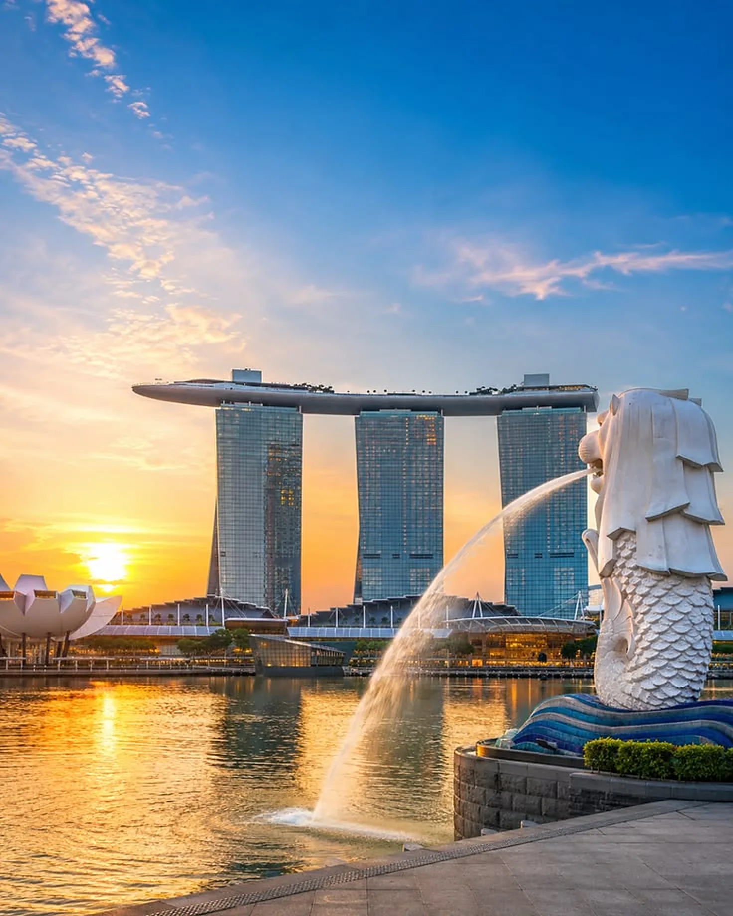 Medical Check-Up di Singapura